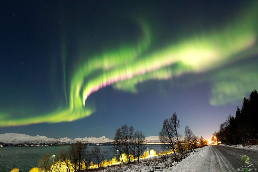 Tromsø: Northern Lights Trip with Campfire and Snacks - Price and value for $150: what you’re really buying