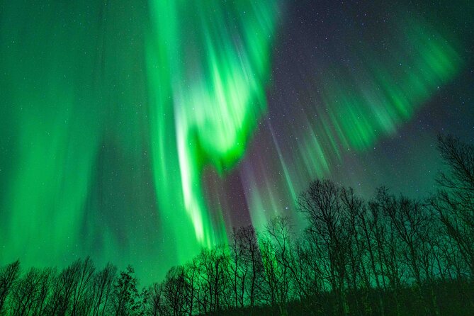 Tromsø Northern Lights with Campfire and Professional Photos - The route: from Tromsø to the wider Great Tromsø area