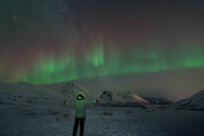 Tromsø Northern Lights with Campfire and Professional Photos - Professional photos: getting aurora shots without playing cameraman all night