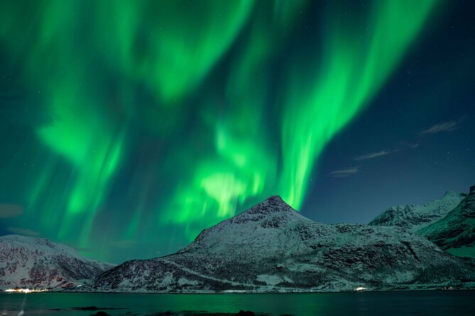Tromsø Northern Lights with Campfire and Professional Photos - Who leads your night: guides, drivers, and the value of experience