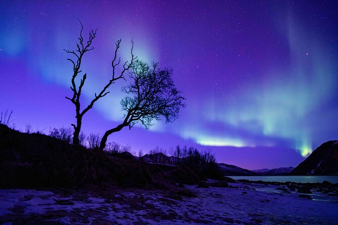 Tromsø Northern Lights with Campfire and Professional Photos - How long is the night, and where do you start?
