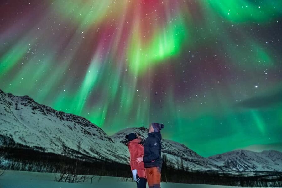 Tromsø: Premium Northern Lights Tour Small Group 8 Guests - Guides Who Keep You Focused and Calm in Winter