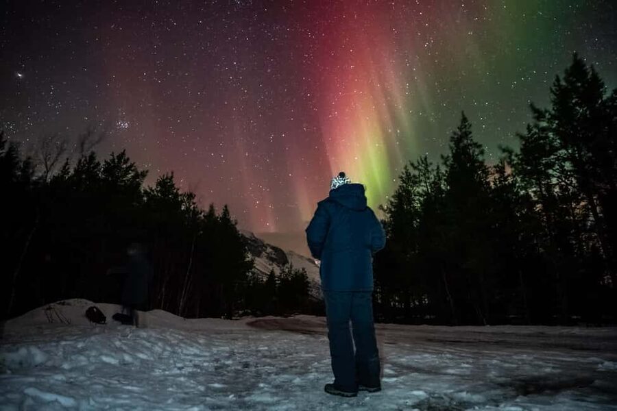 Tromsø: Premium Northern Lights Tour Small Group 8 Guests - Price and Value: Why $209 Can Be More Than a Ride to the Sky