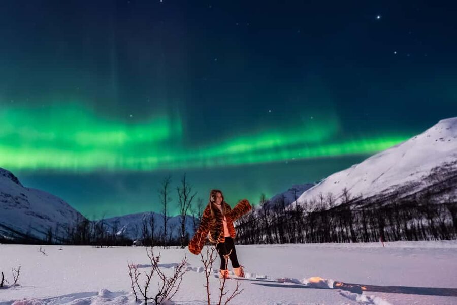 Tromsø: Premium Northern Lights Tour Small Group 8 Guests - Real-Time Aurora Forecasts and Route Changes (Even Finland)