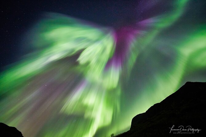 Tromso: Private Aurora Chase by Minivan - Why this private aurora chase feels better than a bus ride