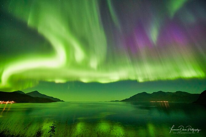 Tromso: Private Aurora Chase by Minivan - Photography help that actually shows up when it counts