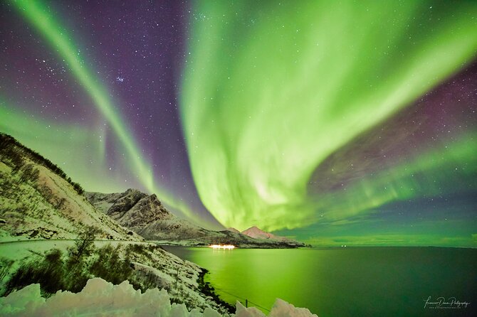 Tromso: Private Aurora Chase by Minivan - Price and value: who this $1,600 group deal makes sense for
