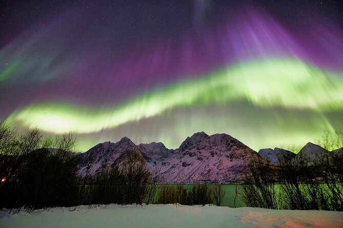 Tromso: Private Aurora Chase by Minivan - The timing: 7:00 pm start and what “about 6 hours” means