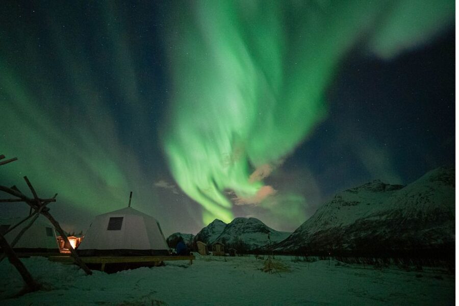 Tromsø: Reindeer Feeding & Chance of Northern Lights Viewing - Meeting in Tromsø and Riding Out to the Breivikeidet Camp