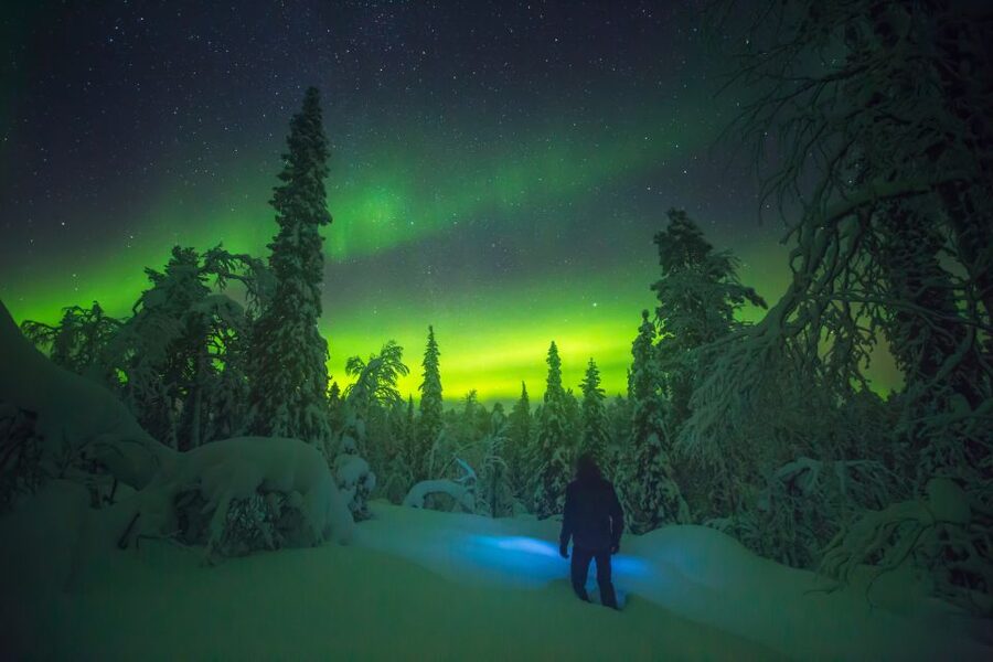 Tromsø: Reindeer Sled, Dinner, and Chance of Northern Lights - Northern Lights Odds: How to Expect the Aurora Without Getting Bitter