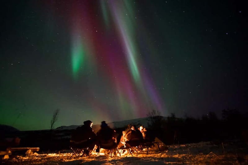 Tromsø: Small-Group Northern Lights Tour by Minibus - Key things I’d plan around before you book