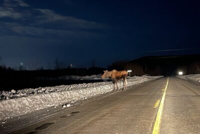 Vip Aurora Adventure from Fairbanks - The 11:00 pm start: how the night is structured