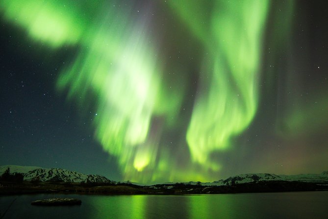 Whale Watching and Northern Lights Half-Day Combo Tour - Why this whale-and-aurora combo works in Reykjavik