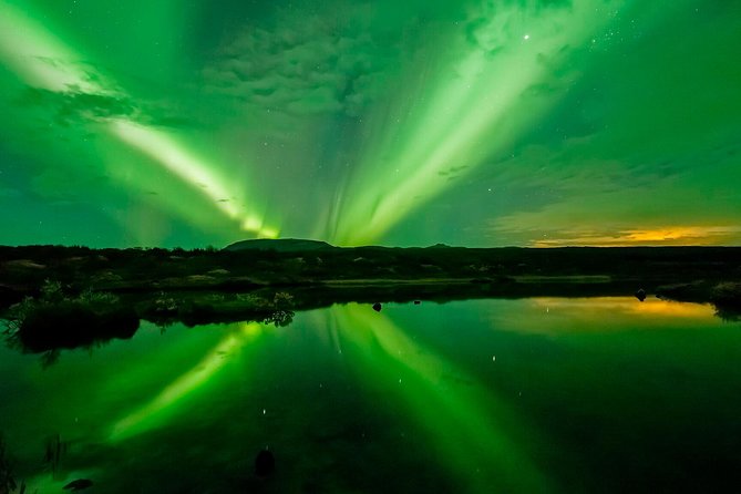 Whale Watching and Northern Lights Half-Day Combo Tour - Northern lights session: how the night hunt is handled