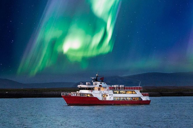 Winter Whale Watching and Northern Lights Cruise from Reykjavik - Why this 5-hour combo matters for whales and aurora