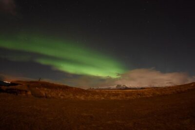 Winter Whale Watching and Northern Lights Cruise from Reykjavik - From Elding to the sea: timing, meeting point, and how the day flows