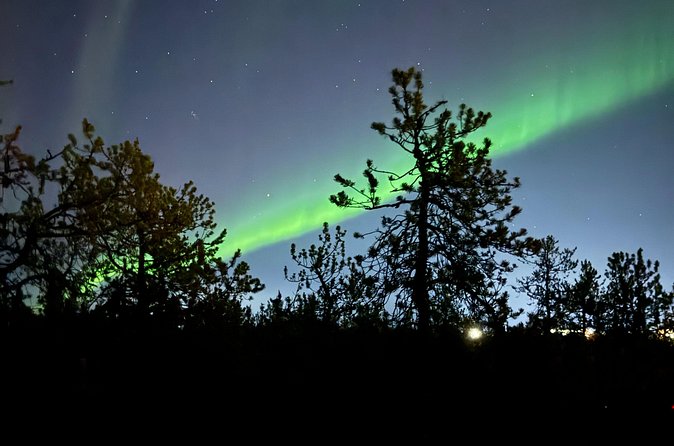Yellowknife Aurora Hunting Tour - Your 9:00 pm pickup and how to not miss the start