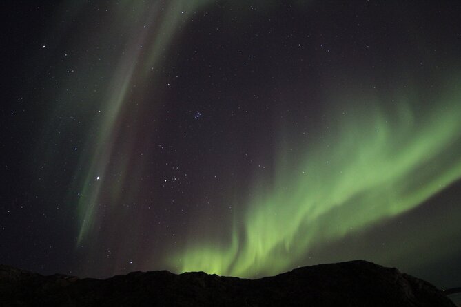 Yellowknife Aurora Hunting Tours by Bus - Key highlights you’ll feel right away