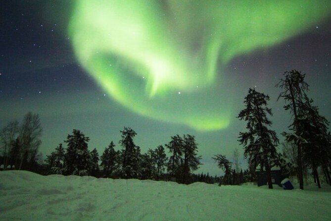 Yellowknife Aurora Hunting Tours by Bus - Stop 4: Prelude Lake Territorial Park and reflection-friendly skies