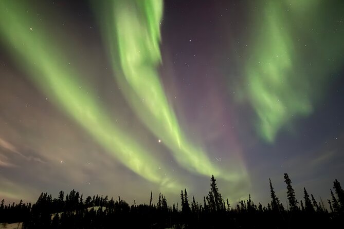 Yellowknife Aurora Hunting Tours by Bus - The photo package: what the included pictures really give you