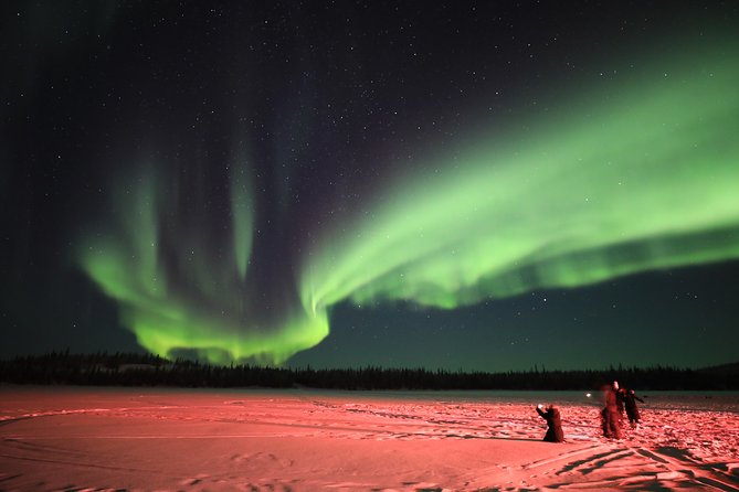 Yellowknife Tours - Aurora by bus - Yellowknife Aurora by Bus: What You’re Really Buying
