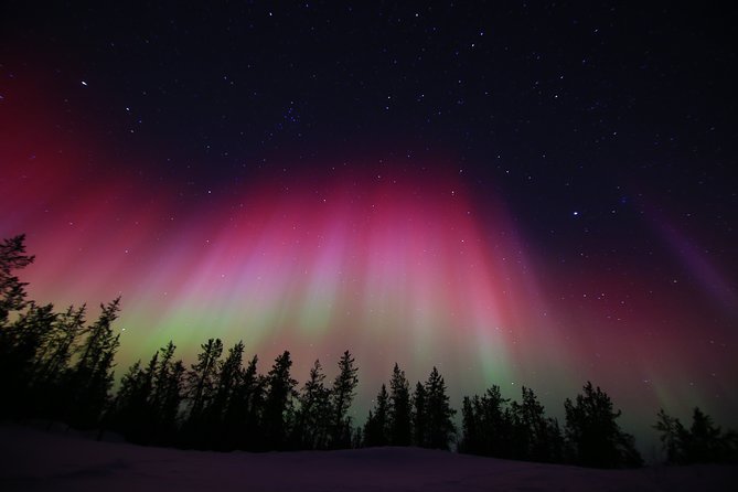 Yellowknife Tours - Aurora by bus - Guides Who Make the Hunt Work: Janet, Floris/Florence, Angus, Iris, and Renee
