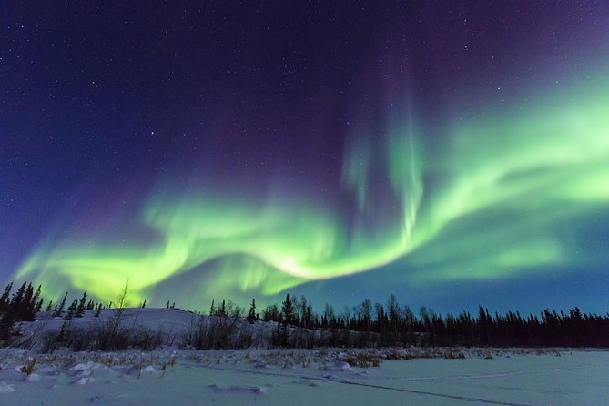 Yellowknife Tours - Aurora by bus - Price and Logistics: $102.89 for a Mobile Aurora Search