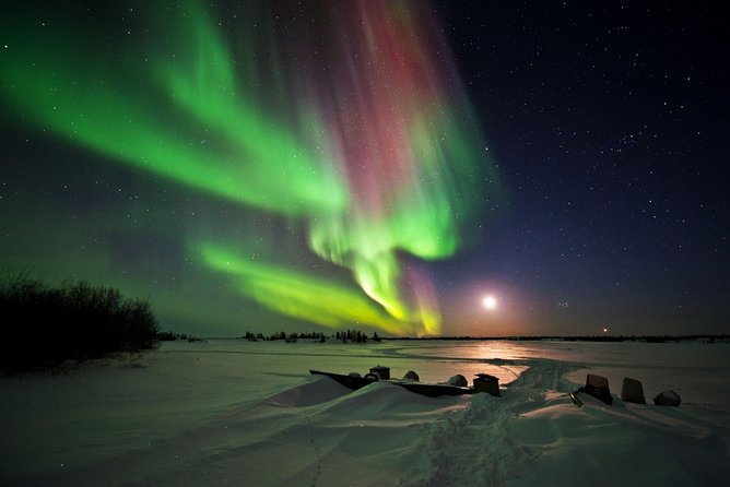Yellowknife Tours - Aurora by bus - Who Should Book Yellowknife Tours Aurora by Bus?