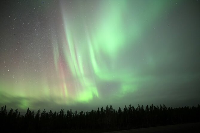 Yellowknife Winter 5 Days 4 Nights: Aurora and Day Activities - Timing, Weather, and Why This Schedule Works in Real Winter
