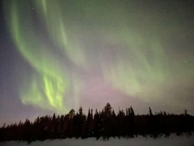 Ylläs: Northern Lights Snowmobile Safari with Transfers - The Snowmobile Safari: Dark Forests, Real Speed, Clear Focus
