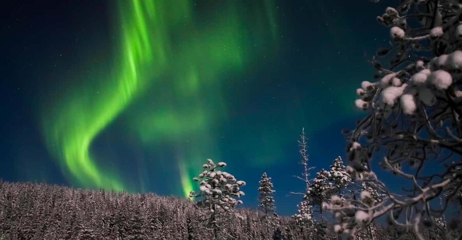 Ylläs: Seeking Northern Lights Photo Tour - Who this tour suits best (and who should think twice)