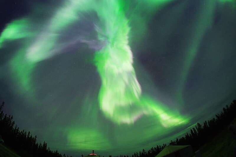 Yukon: Aurora Borealis Late Night Viewing Tour - Should you book the Yukon Aurora Borealis Late Night Viewing Tour?