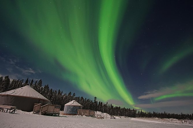 Yukon Aurora Viewing Package | 4 days - Day 3: a free winter day, then the third aurora outing