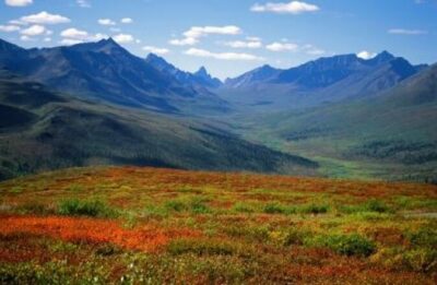 Yukon Aurora Viewing Package | 4 days - Day 1: arriving in Whitehorse and your first shot at the aurora